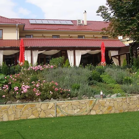Mlyn & Wellness 3*