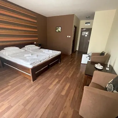 Mlyn & Wellness Radvan nad Dunajom
