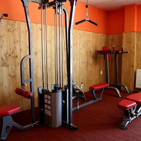 리조트 Mlyn & Wellness Radvaň nad Dunajom