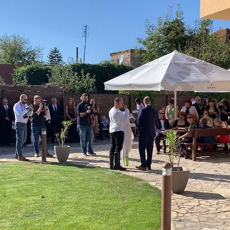 Mlyn Penzion&wellness Resort 3*