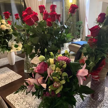 Mlyn Penzion&wellness 3*