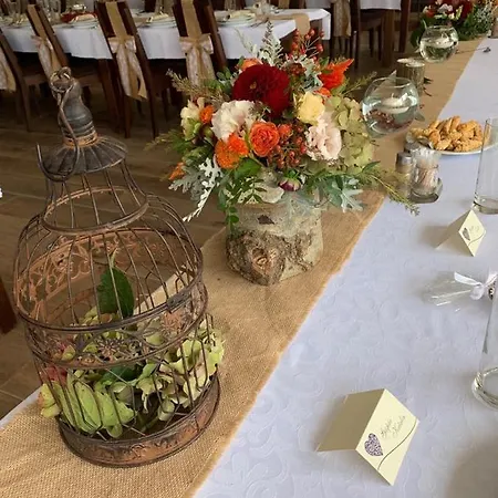 Resort Mlyn Penzion&wellness Radvaň nad Dunajom