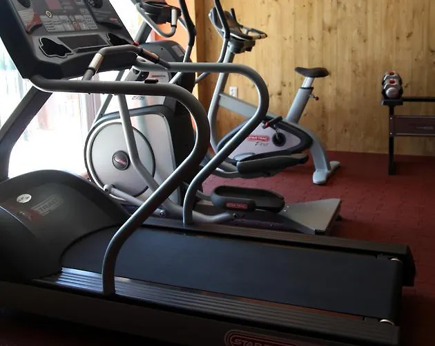 Resort Mlyn & Wellness 3*