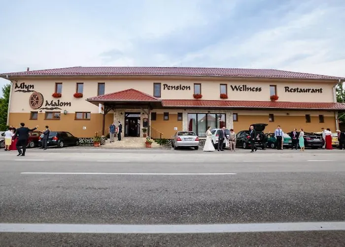 Resort Mlyn & Wellness Radvan nad Dunajom