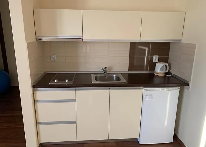 Mlyn & Wellness Resort Radvan nad Dunajom